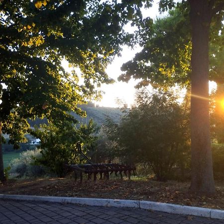 Il Mandorlo B&B Civitanova Alta Kültér fotó